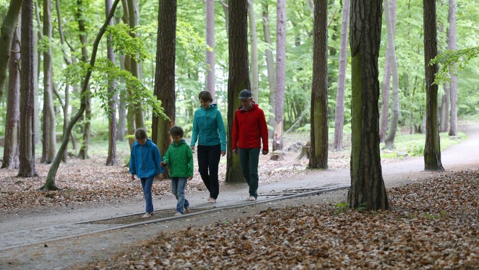 Bez butów można spacerować bosą ścieżką po różnych naturalnych materiałach, takich jak drewno, kamienie i szyszki sosnowe., © TMV/outdoor-visions.com