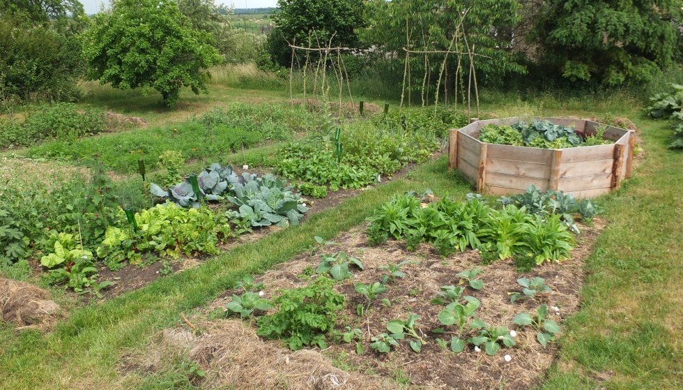 Verser kan niet: van de tuin rechtstreeks op je bord, © Martin Hagemann