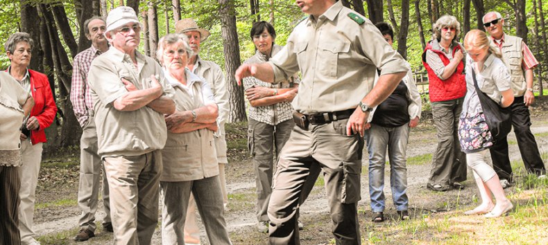 © Infozentrum Wald und Moor
