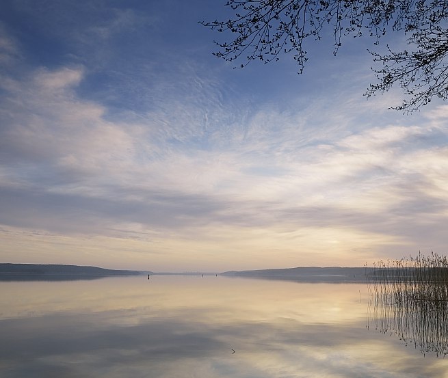 Natura oddycha ciszą nad jeziorem Tollensesee, © TMV/Grundner
