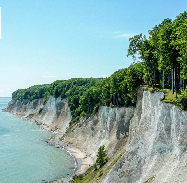© Nationalpark-Zentrum Königsstuhl