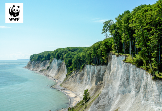 © Nationalpark-Zentrum Königsstuhl