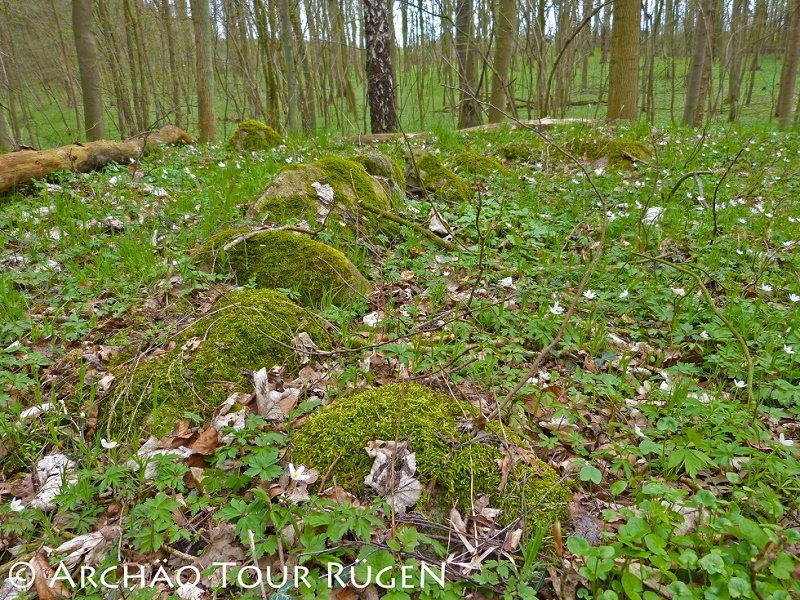 Verscholen in het loofbos liggen meer dan 400 grafheuvels uit de Slavische periode., © Archäo Tour Rügen
