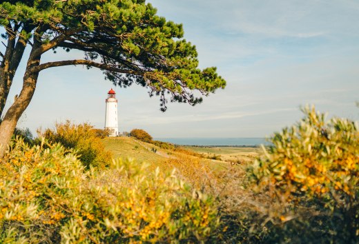 Een ansichtkaartmotief bij uitstek: de vuurtoren van Dornbusch is het herkenningspunt van het eiland Hiddensee., © TMV/Petermann
