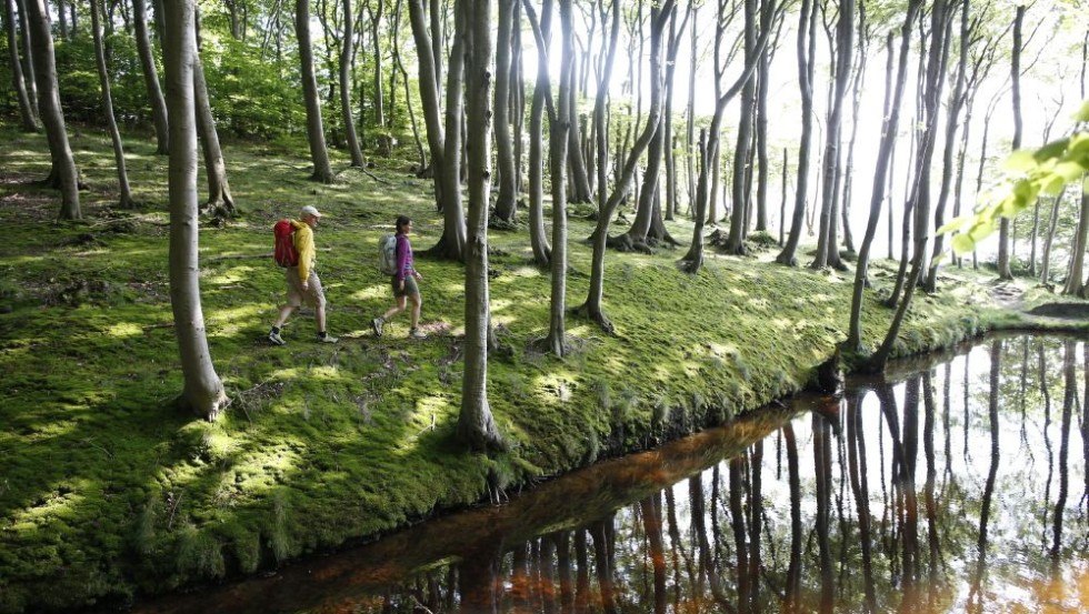 Hike through the coastal forest near Lietzow, © TMV/outdoor-visions.com