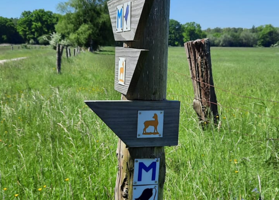 wegwijzer, © Waren (Müritz)-Information