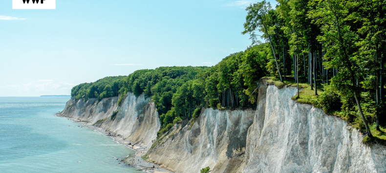 © Nationalpark-Zentrum Königsstuhl