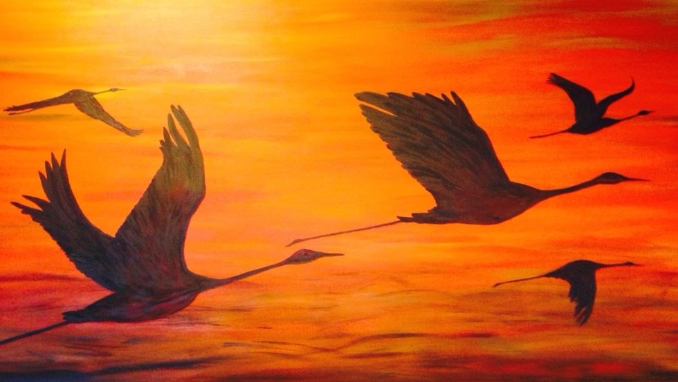 Cranes, © Britta Kaping