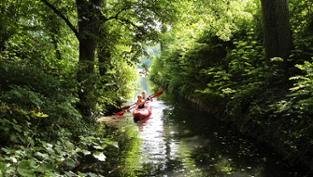 Jungle Tour: A secluded green canal connects the Feldberger Haussee and the Breiter Luzin, © Christiane Würtenberger