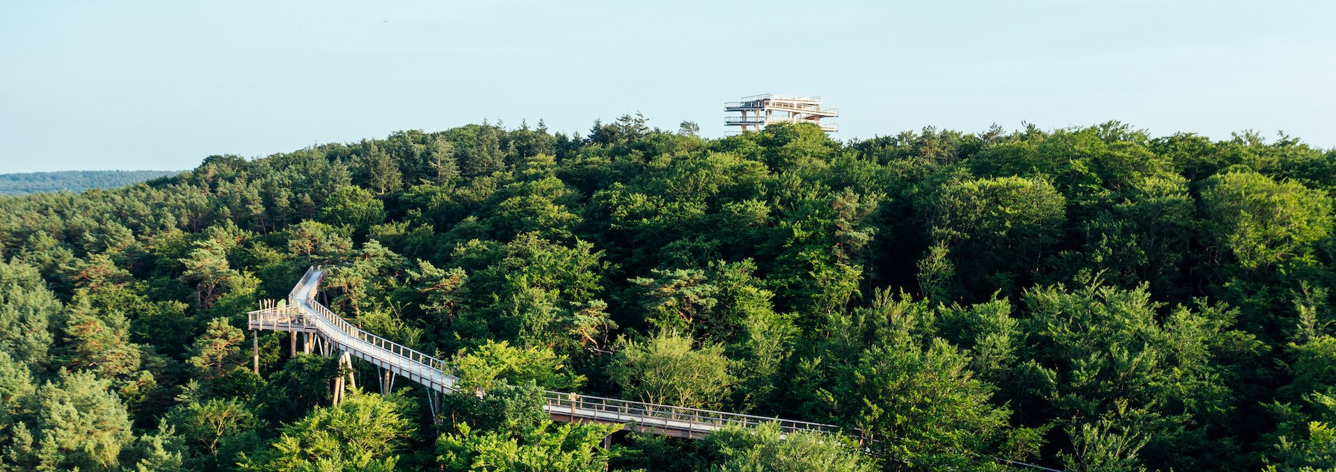 The tree top walk on the Island of Usedom from the air nestled in the forest and overlooking the Baltic Sea., © TMV/Gänsicke