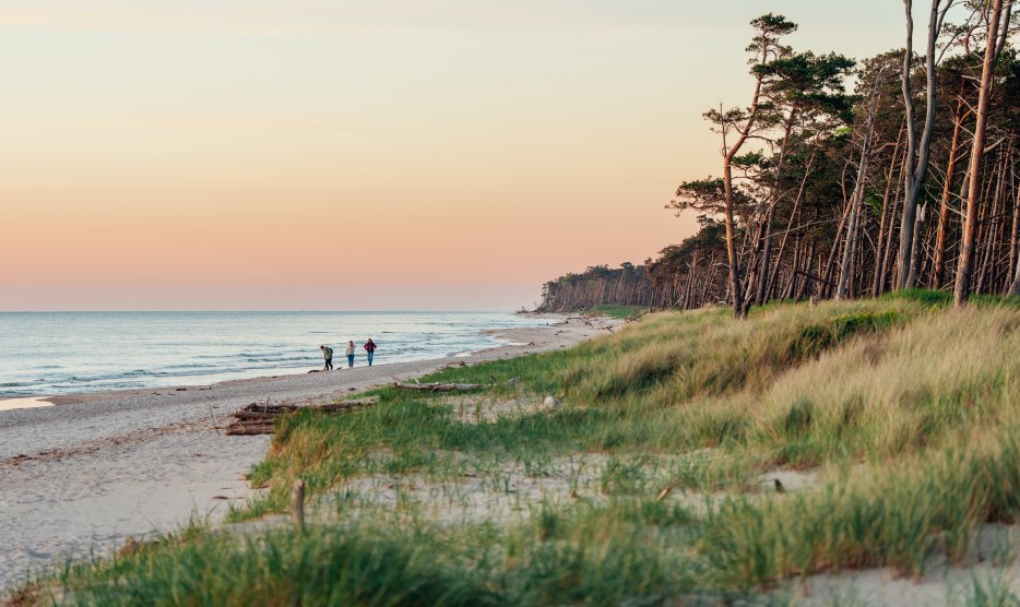 An idyllic walk on the western beach on the Darß: three people enjoy the sunset while the coast glows in warm colors and nature comes to rest.