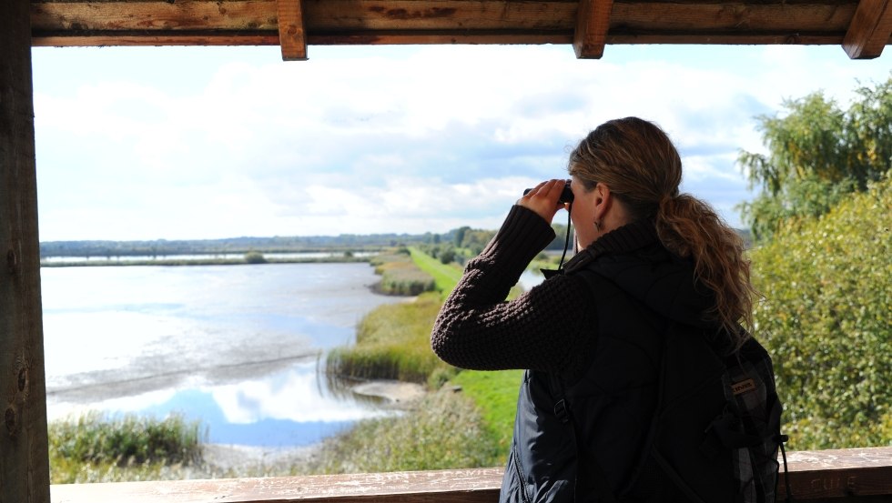 Z wieży widokowej można podziwiać imponujący widok na stawy rybne., © TMV/Foto@Andreas-Duerst.de