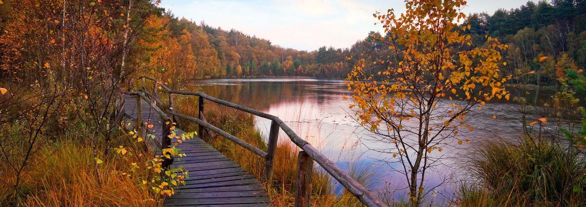 Drewniana promenada w Parku Narodowym Müritz, © TMV/Allrich