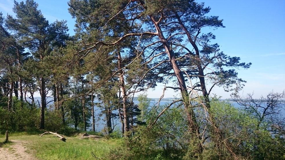 Zbieg wiatru na południowym krańcu Gnitz, © TMV/Bodieschek