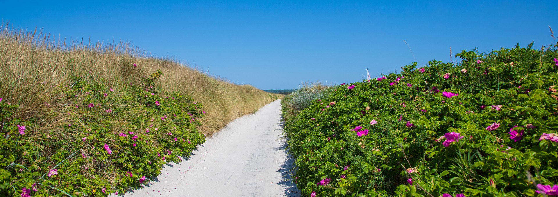 Reederei-Kipp-Insel-Hiddensee-0010, © Weiße Flotte GmbH