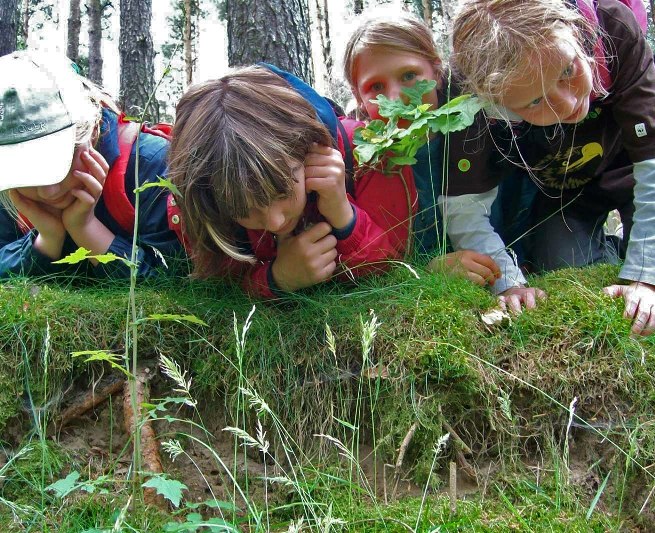 Search for clues for young and old, © Foto: Nationalparkamt Müritz