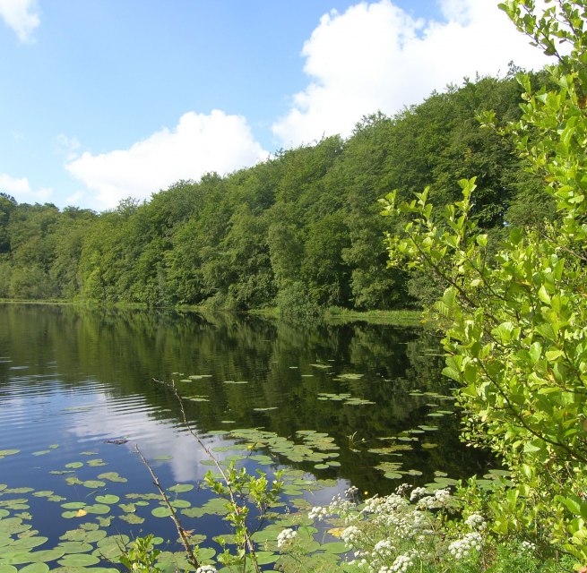 © Biosphärenreservatsamt Südost-Rügen