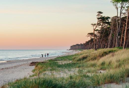 Idylliczny spacer po zachodniej plaży Darß: trzy osoby podziwiają zachód słońca, podczas gdy wybrzeże mieni się ciepłymi kolorami, a przyroda odpoczywa.
