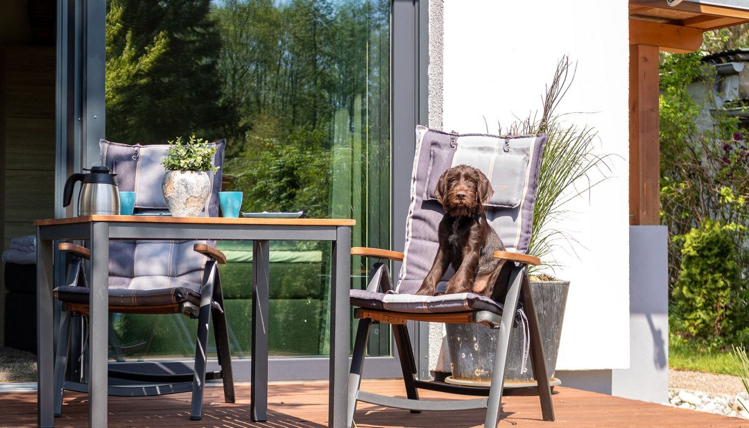 Vakantie met je hond in Mecklenburg-Vorpommern, © K&amp;K Ferienimmobilien