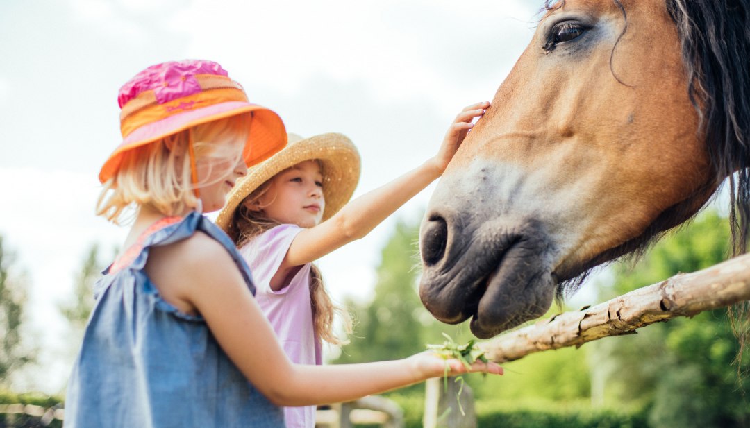 Een meisje aait de neusgaten van een paard., © TMV/Gänsicke