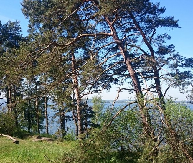 Zbieg wiatru na południowym krańcu Gnitz, © TMV/Bodieschek
