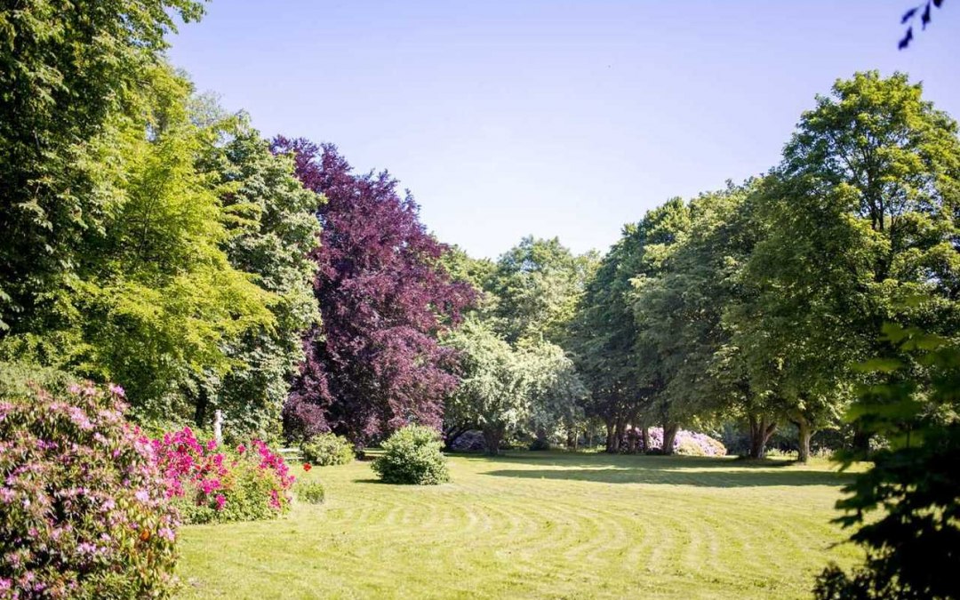Rhododendron bushes in the park, © Herrenhaus Samow