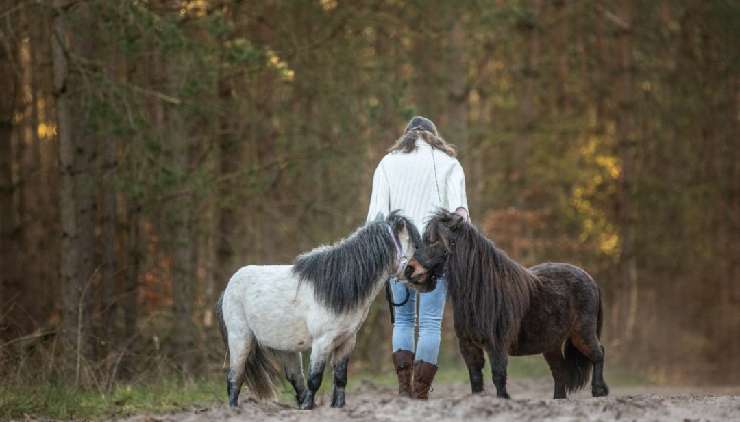 © Anniemal Fotografie