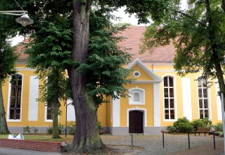 © Sabrina Wittkopf-Schade