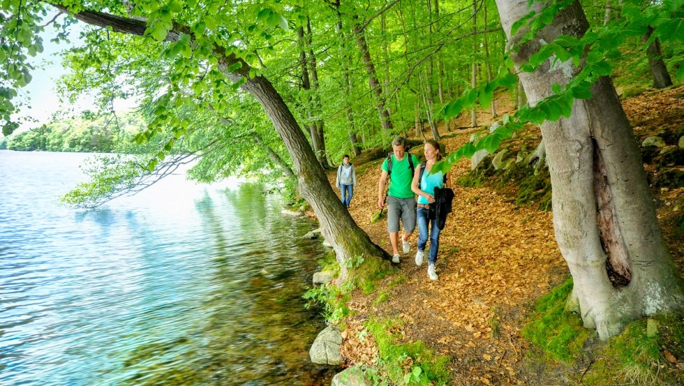 Paths along the lakeshore of the Schmaler Luzin in the Feldberg lake district, © TMV/foto@andreas-duerst.de Paths along the lakeshore of the Schmaler Luzin in the Feldberg lake district, © TMV/foto@andreas-duerst.de