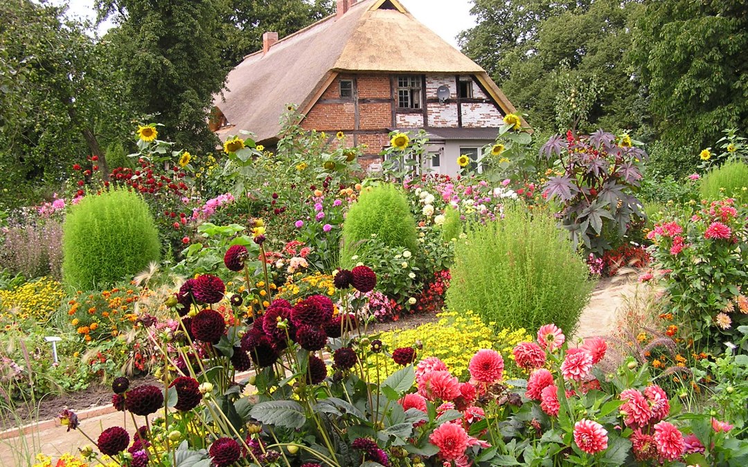 Pastorie met dahlia's, © Gerd Albrecht