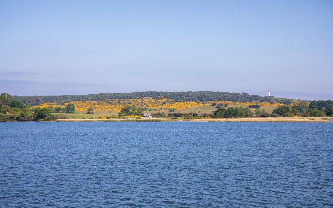 Reederei-Hiddensee-Insel-Hiddensee-002-1, © Weiße Flotte