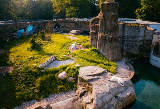 Het Polarium in de dierentuin van Rostock doet een beetje denken aan Hudson Bay in Canada, waar veel ijsberen wonen. Je hebt een luchtfoto van het verblijf met de ijsberen.