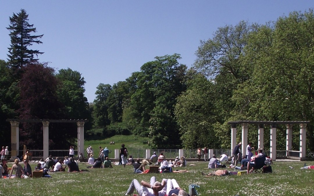Musical picnic, © Dr. Bittner