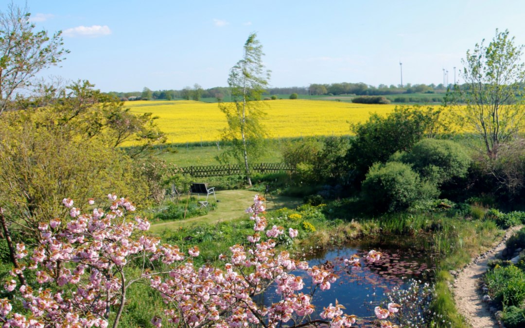 Lente - met koolzaadbloesem in mei, © Claus Gering
