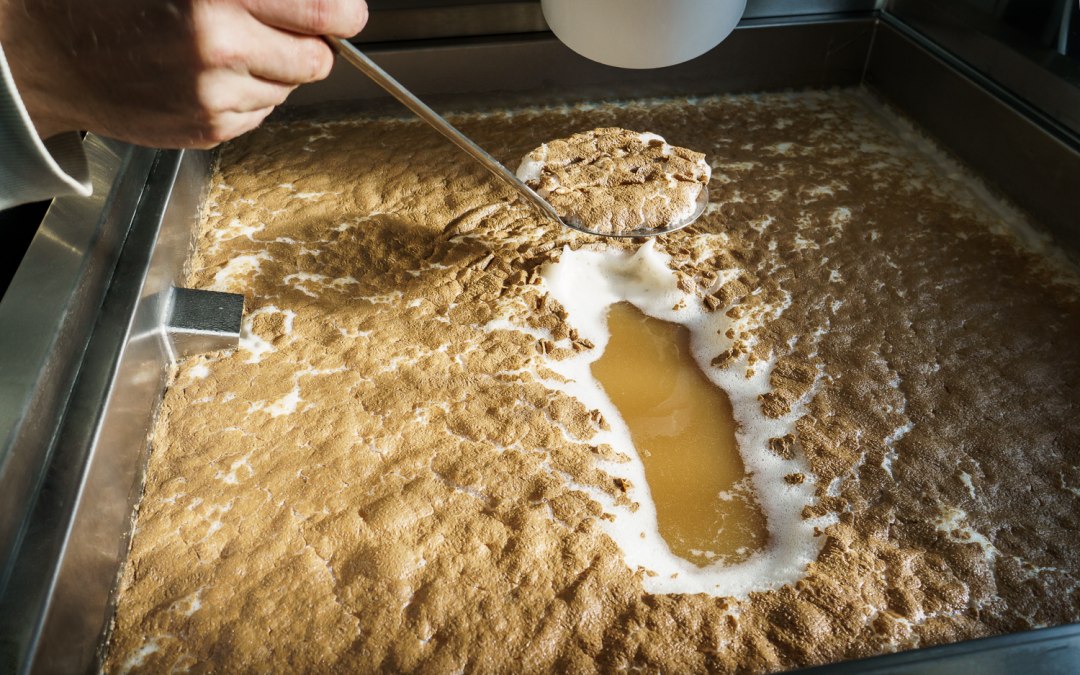 With the variety of home-brewed beer specialties, there is something for everyone., © Darßer BRAUHAUS