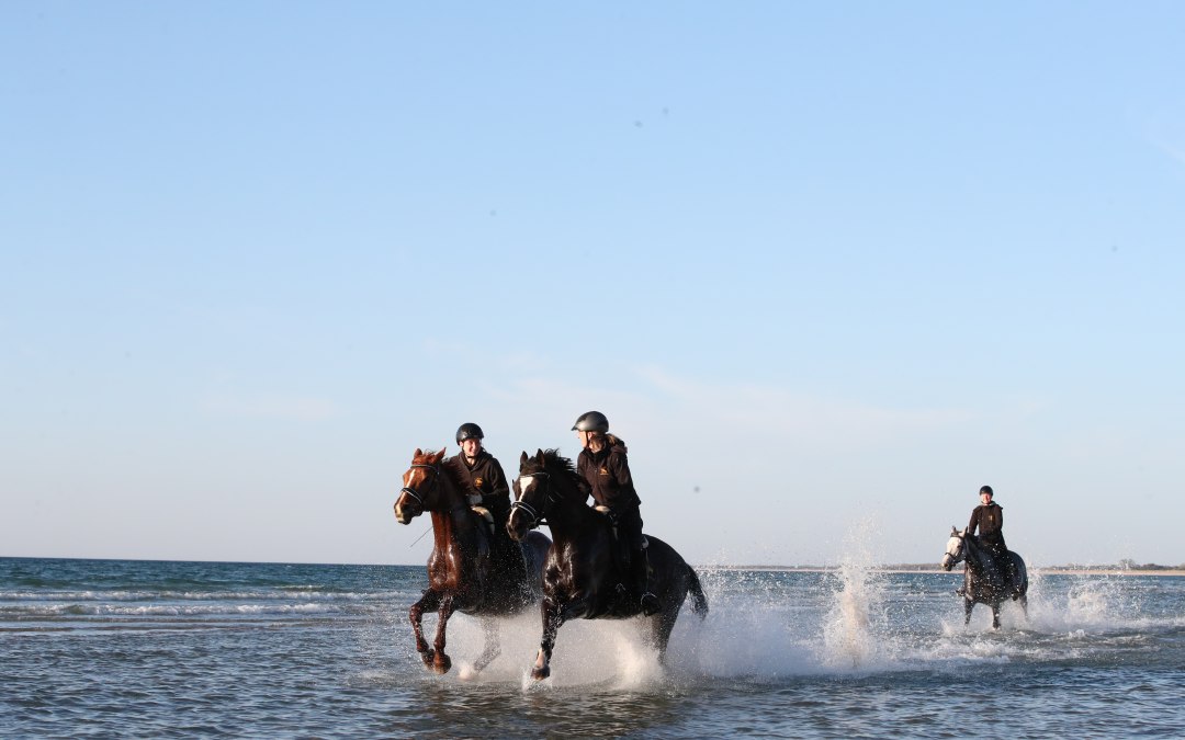 Jazda na plaży, © TMV/ACP Pantel