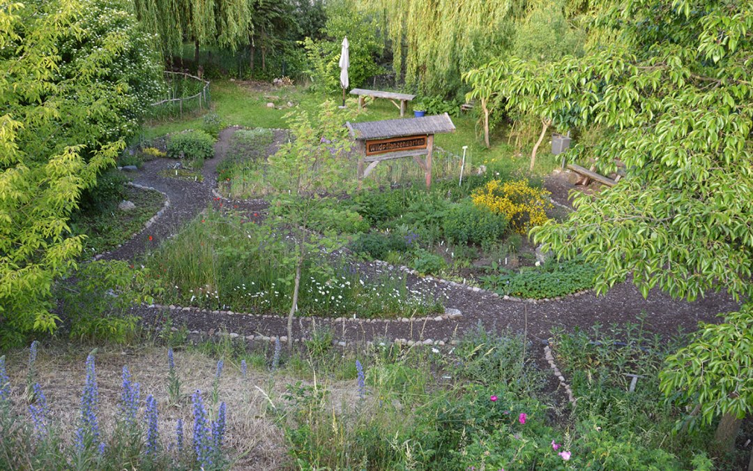 garten, © Wildpflanzengarten Waren (Müritz)