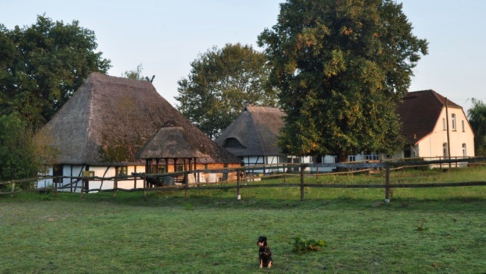 Farma koni Schwalbennest: Widok na nasz mały, rodzinny ośrodek jeździecki w Jörnstorf, gdzie Ty i Twoje zwierzęta jesteście bardzo mile widziani., © Pferdehof Schwalbennest/ Rauth