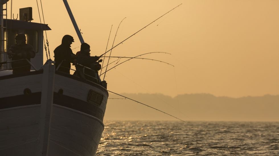 Out goes the cutter - deep sea fishing for cod and flatfish, © TMV/Läufer