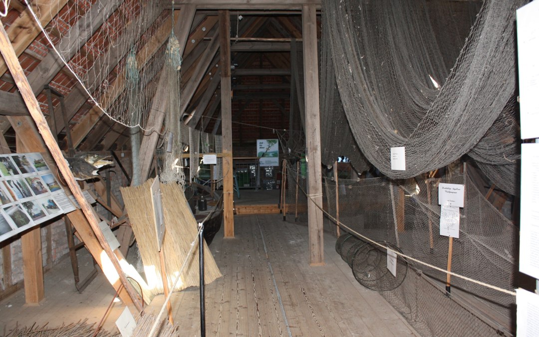 Fishing exhibition, © Amt Mecklenburgische Kleinseenplatte