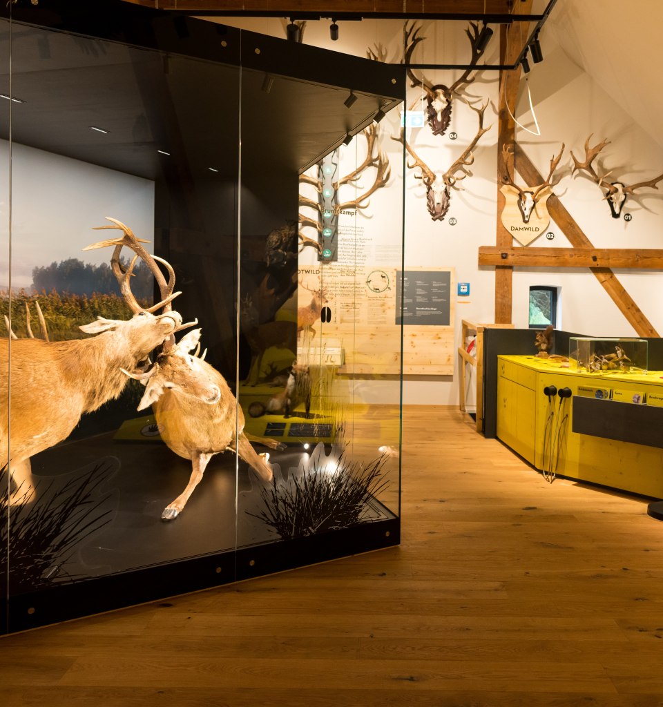 Forst- und Jagdmuseum (3)-min, © Moritz Kertzscher