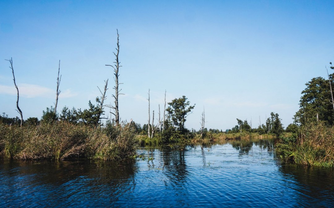 Geniet volop van de natuur tijdens een kanotocht op de rivier de Peene, © TMV/WorldonaBudget