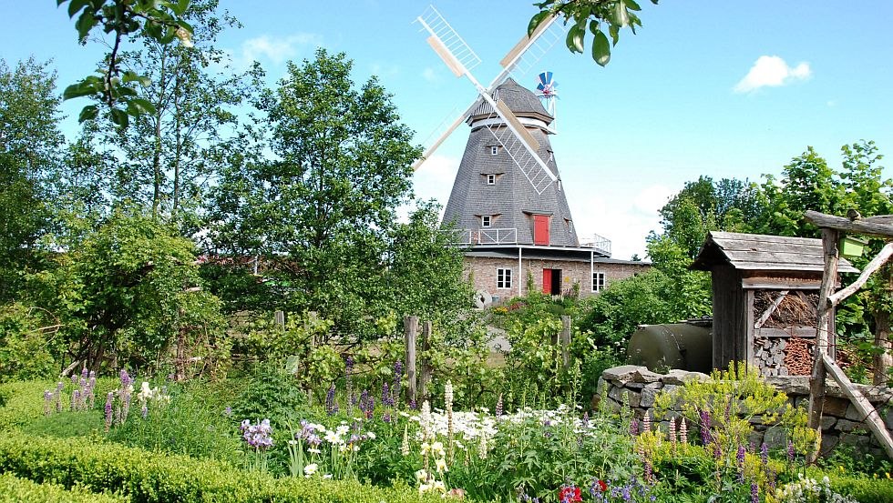 Nederlandse molen Dierentuin Stralsund, © Archiv Zoo Stralsund
