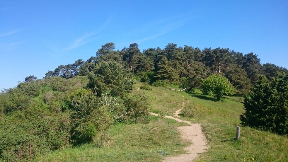 Widok na Białą Górę, © TMV/Bodieschek
