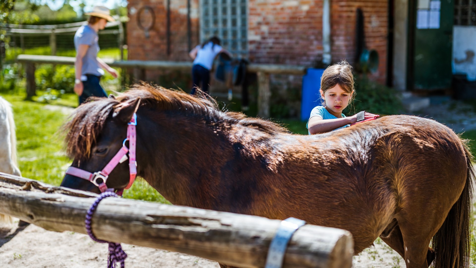 Grooming is also a form of loving: Guest child Mona with horse Anton., © TMV/Tiemann A guest child at Waldhof Bruchmühle grooms a horse