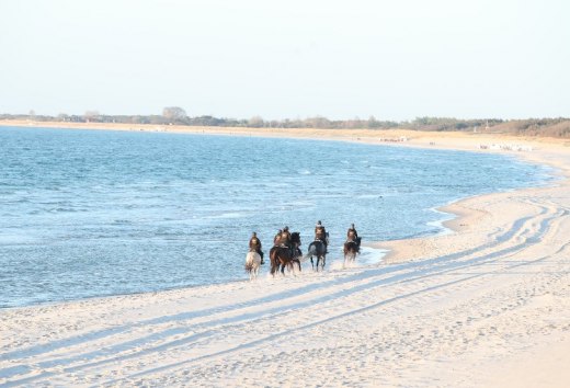 Ruiterharten gaan sneller kloppen bij deze aanblik. Dromen komen uit bij het rijden op het strand in Mecklenburg-Vorpommern., © TMV/Pantel