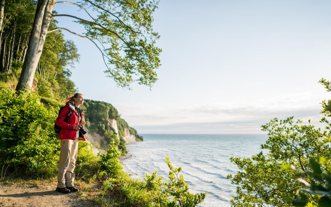 Wild and fascinating: the imposing chalk cliffs, a timeless symbol of the Island of Rügen., © TMV/Roth
