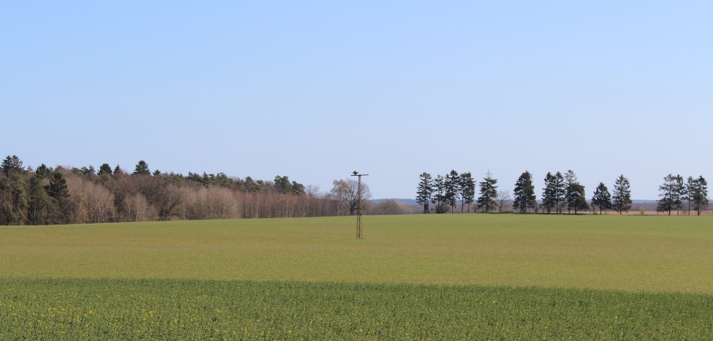 Widok na zamieszkane oczodoły, © Kur- und Tourismus GmbH Göhren-Lebbin