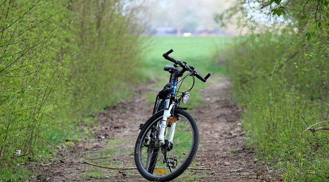 © bike-4127944_640.jpg