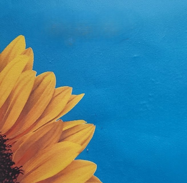 © KGV " Zur Sonne" e.V.